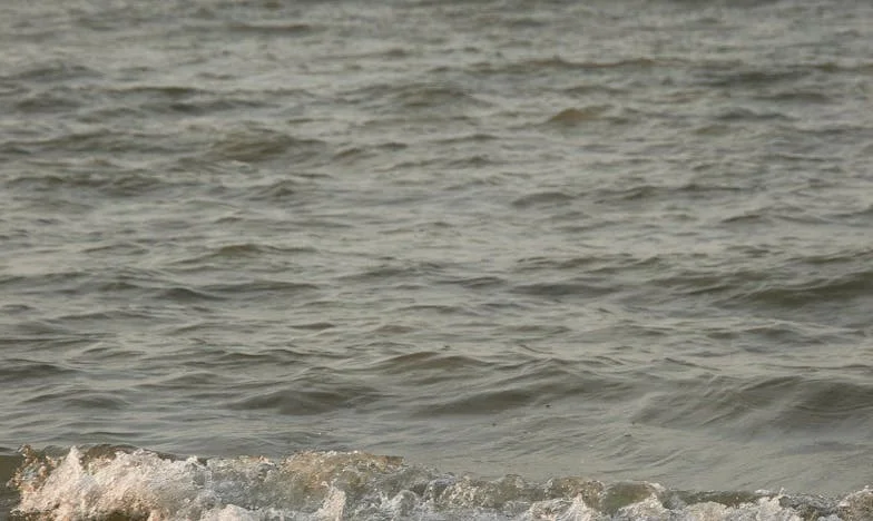 Oskar odrzuca syna, oskarżając mnie o zdradę — prawda wychodzi na jaw podczas rodzinnego grilla