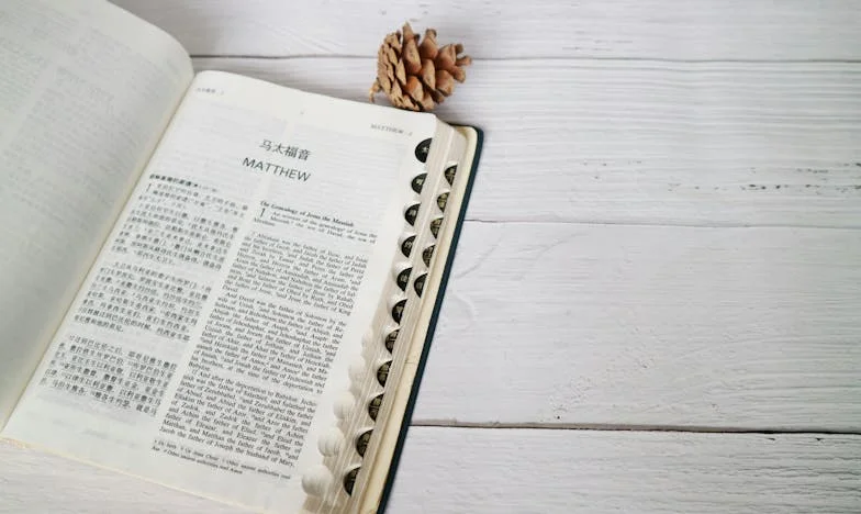 Przyjaźń na zawsze: Historia Arka i Kuby