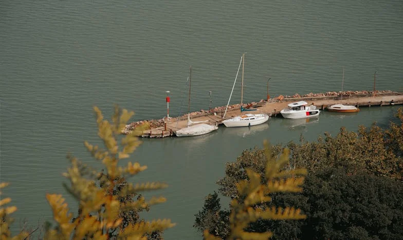 Wyrzuciłam teściów i męża z domu. Nie żałuję ani chwili — moje życie zaczęło się na nowo.