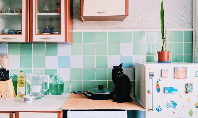 Cienie w nadmorskim domu: Opowieść Kingi