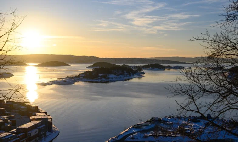 Cztery Mieszkania Lucji – Opowieść o Chciwości i Rodzinnych Ranach