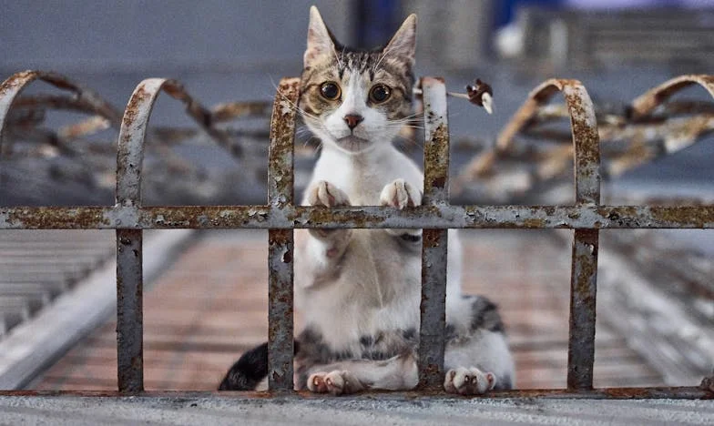 Jak rozstanie zniszczyło moje życie... i uratowało mnie na nowo – Historia Przemiany Pawła