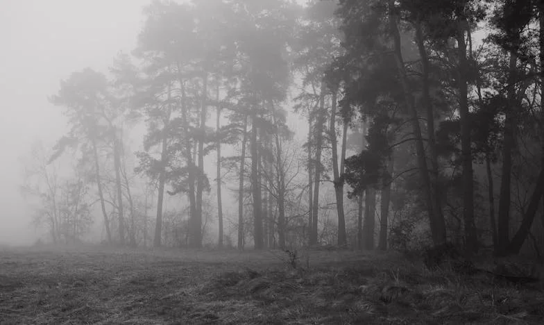 Jedna izba, cztery życia: Opowieść o odpowiedzialności i miłości