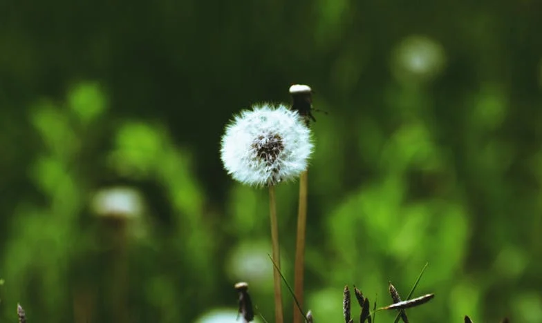 „Jeśli nie przestaniesz, odejdę na zawsze” — urodziny, które rozbiły moją rodzinę
