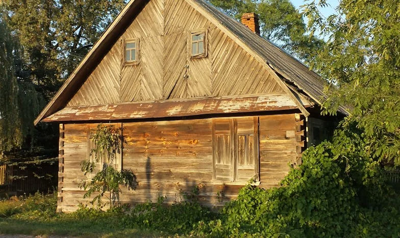 Kiedy babcine ciasteczka stają się gorzkie: Rodzinne wojny o jedzenie dzieci