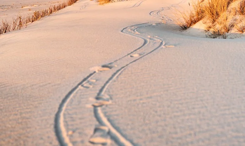 Mam 47 lat i chcę rozwodu, ale boję się podjąć decyzję