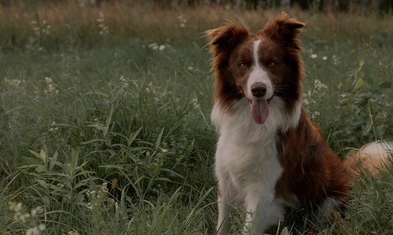 Mama nie może mi wybaczyć, że odeszłam z domu – czy naprawdę jestem egoistką?