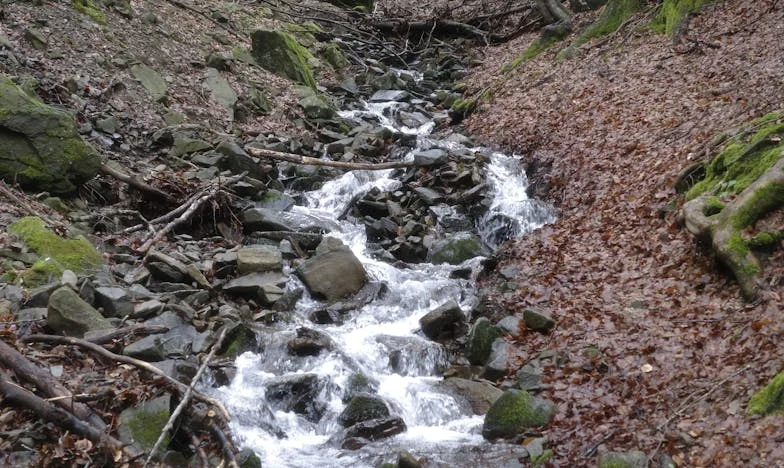 Między ciszą a krzykiem – historia o rodzinnych tajemnicach i przebaczeniu