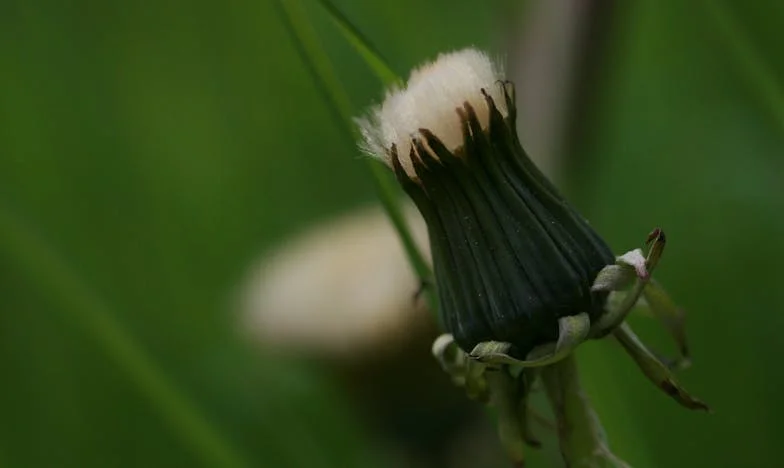 Milczy już tydzień. A ja boję się, że prawda rozwali nam wszystko