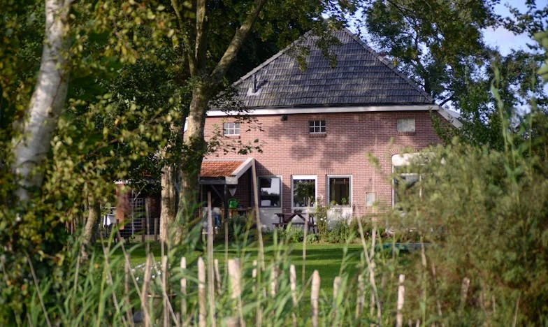 Nasza droga do domu: Jak Mirela i Adnan zbudowali swoje miejsce bez pomocy rodziców