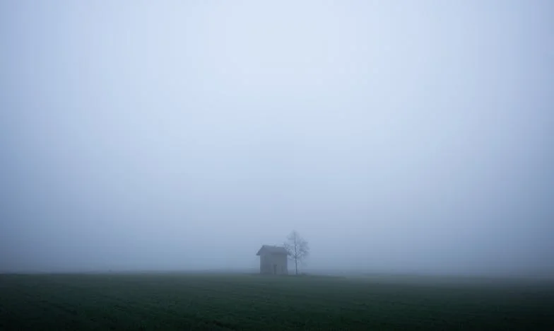 Niekończący się płacz z mieszkania 3B: Sąsiedztwo w cieniu strachu