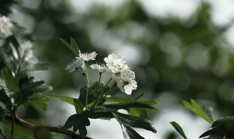 Tajemnica piwnicy: dramat niespodziewanego bogactwa
