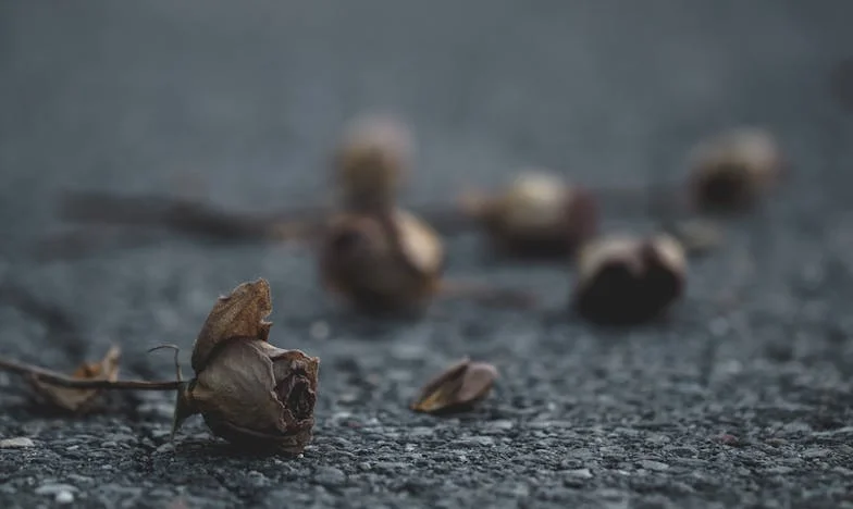Teściowa obraziła się, bo nie chcieliśmy przyjąć pod swój dach jej dorosłego syna. Czy naprawdę jestem tą złą?