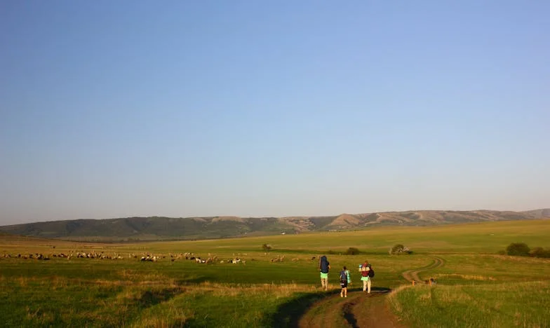 Zawsze w cieniu brata – opowieść o niewidzialności i poszukiwaniu siebie
