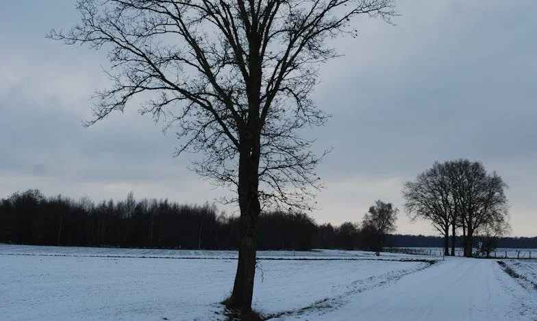 „Czy naprawdę chcesz być darmozjadem na zawsze?” — teściowa wbiła mi nóż w plecy, kiedy próbowałam wstać z kolan