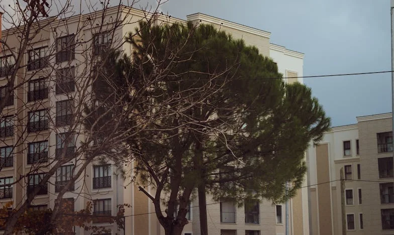 „Dlaczego to zrobiłaś? Jak sobie poradzimy bez samochodu?” – Historia matki, która postawiła wszystko na jedną kartę