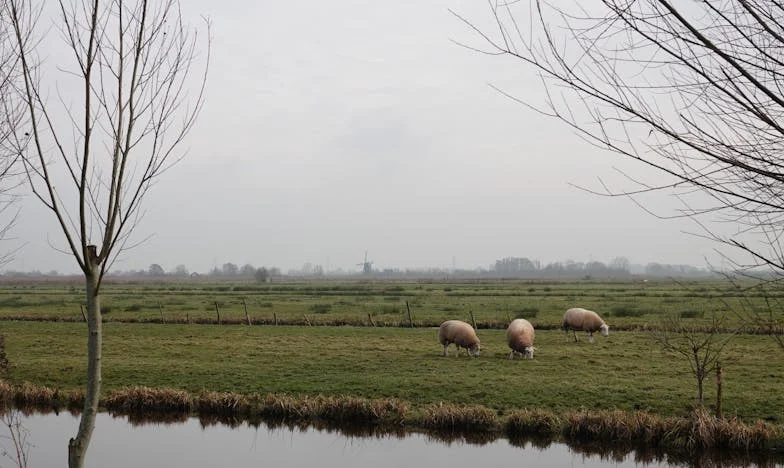 „Dlaczego właśnie teraz zostaliście rodzicami?” – Wewnętrzna walka babci w świecie nowych rodzinnych ról