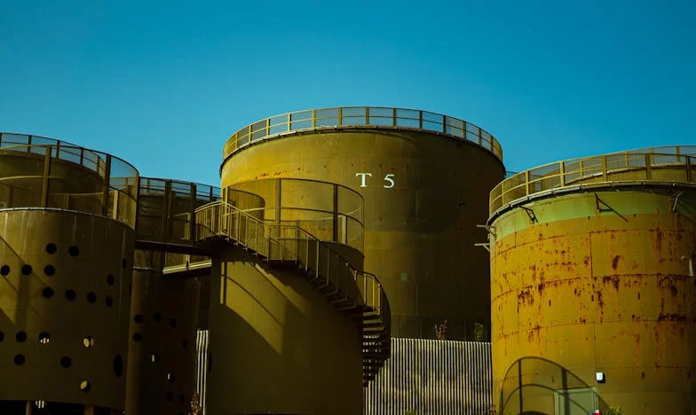 Echa Niewypowiedzianych Ostrzeżeń – Historia Matki, Synowej i Rodzinnych Tajemnic