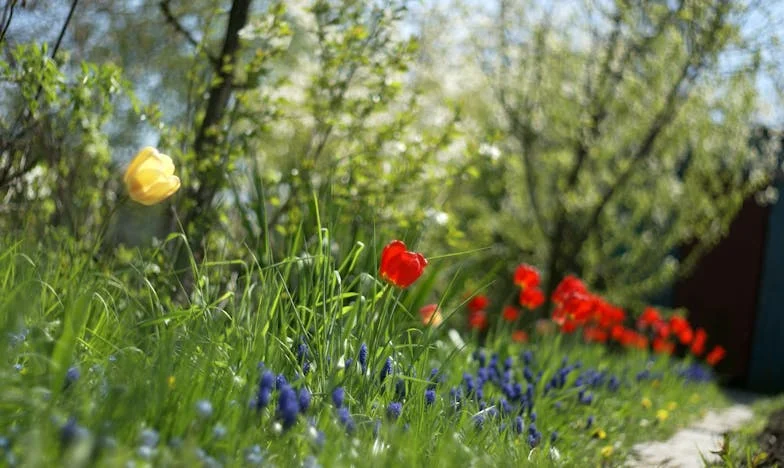 Granice miłości: Kiedy matczyne serce musi powiedzieć 'dość'