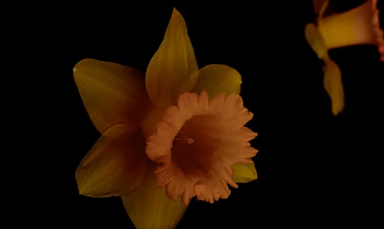 „Jeśli kochasz mnie jak matkę, zostaw go” — opowieść o miłości, kontroli i wyborach