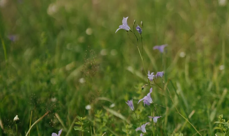 „Jutro pakujecie rzeczy i wychodzicie. Nie dam rady tak żyć”: tej nocy wyrzuciłam z domu własnego syna i synową