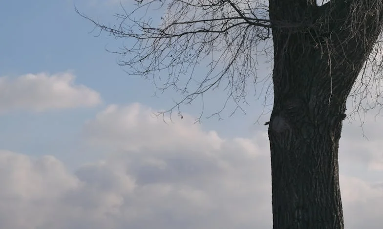 Kiedy Mama Zamieszkała ze Mną: Nowy Rozdział Życia