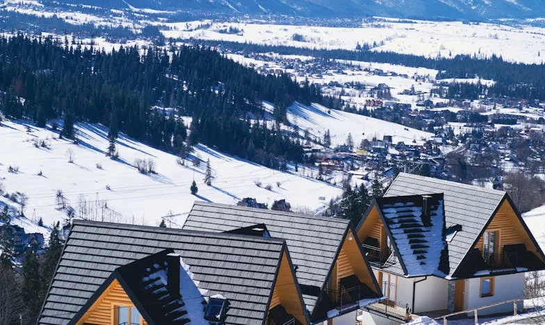 Między ciszą a krzykiem: Historia Magdy z podwarszawskiej wsi