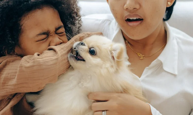 Między dwoma ogniami: Opowieść o niesprawiedliwości w rodzinie