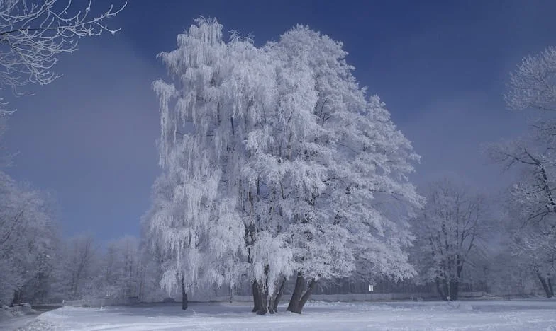 Miłość zapukała do moich drzwi, kiedy w domu już wszystko umierało po cichu
