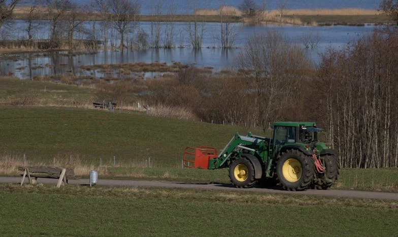 Mój mąż, jego portfel i moja klatka: Dwanaście lat w pułapce małżeństwa