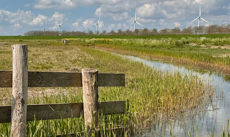 Nie, mamo. Już nas nie odwiedzisz. Ani dziś, ani jutro, ani w przyszłym roku — opowieść o końcu cierpliwości w polskiej rodzinie