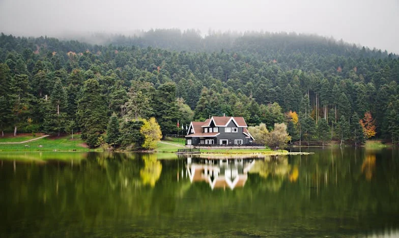 Po latach wyrzeczeń w końcu kupiłam dom. Wtedy pojawił się mój były mąż.