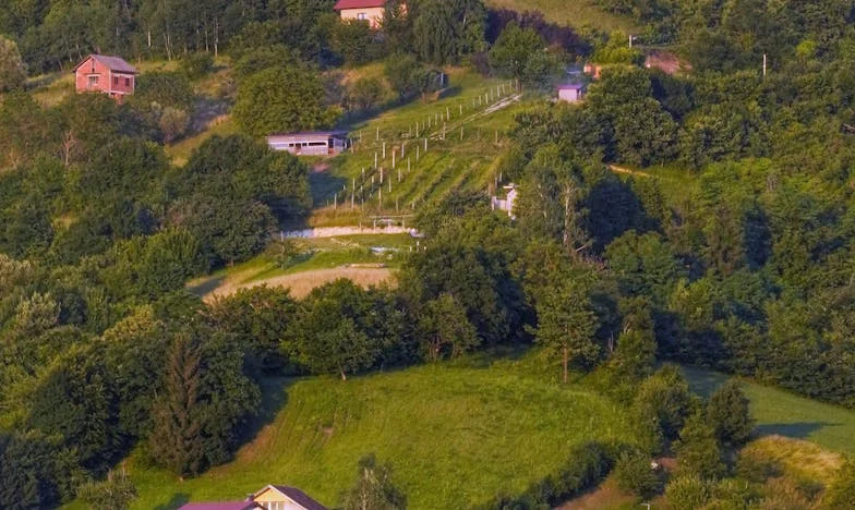 Sylwester na Rozdrożu: Kiedy Dom Przestaje Istnieć