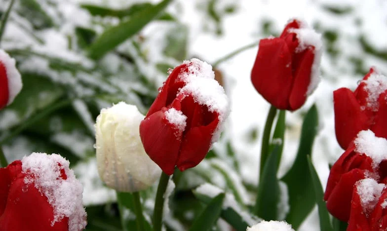 Syn wrócił z rodziną do naszego domu i nagle przestaliśmy być u siebie