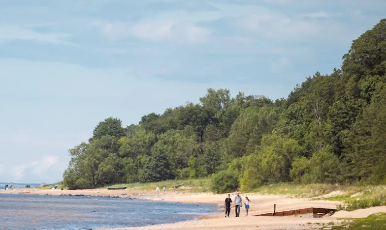 Lato, które rozdarło moje serce: Opowieść o poszukiwaniu szczęścia nad Bałtykiem