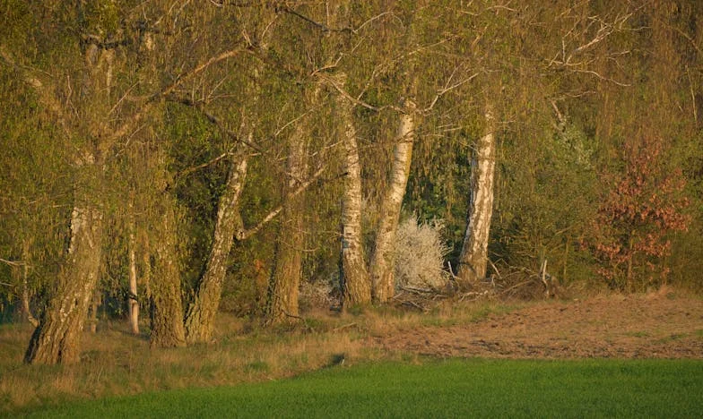 Zapach zwykłego mydła – historia o rozstaniu, rodzinnych tajemnicach i odnajdywaniu siebie