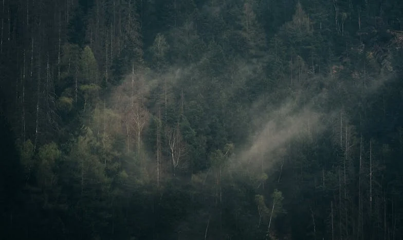 De Onverwachte Invasie van Schoonmoeder Marijke