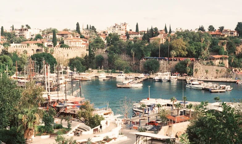 De Onvoorziene Gevolgen van een Moederhart