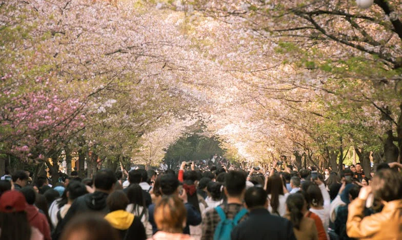 De Onzichtbare Scheuren: Mijn Leven Tussen Hoop en Wanhoop