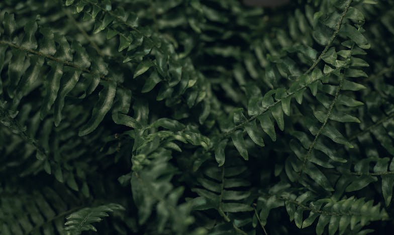 Een Moederhart in Tweestrijd: De Keuze om Mijn Pasgeborene Achter te Laten