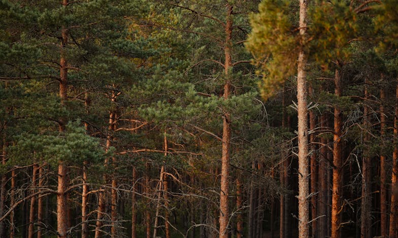 Ik liep ons huis binnen om het nieuwe meubilair te bewonderen, maar wat ik vond brak mijn hart