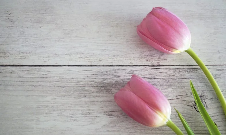 Jaar na jaar worden mijn schoonouders ondraaglijker