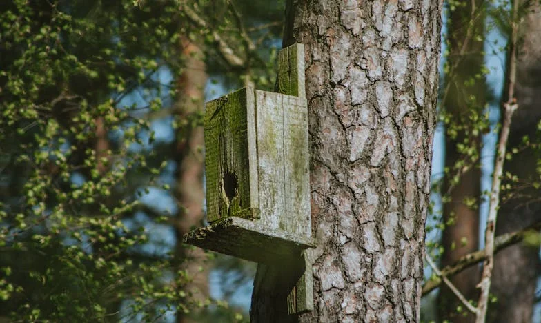 De Dag Dat Alles Instortte: Naomi's Ontdekking