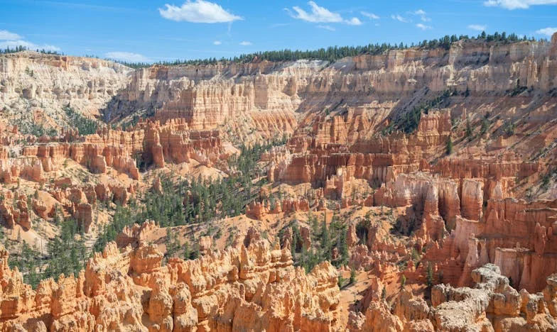 De Laatste Wens van Mijn Schoonmoeder: Een Onmogelijke Keuze