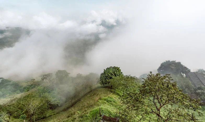 Drie Maanden Stilte: De Vakantie die Onze Schoonmoeder Woedend Maakte