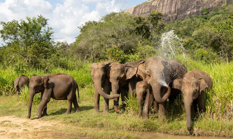 Een Geboorte in de Schaduw: Het Verhaal van Nicole