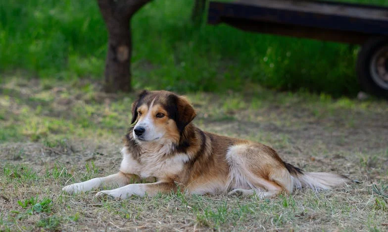 “Een Kind op Mijn Achtendertigste: Hoe Mijn Liefde Mijn Zoon Verpestte”