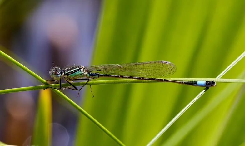 Erfenis in de Schaduw van Liefde: Hoe Geld Onze Familie Verdeelde
