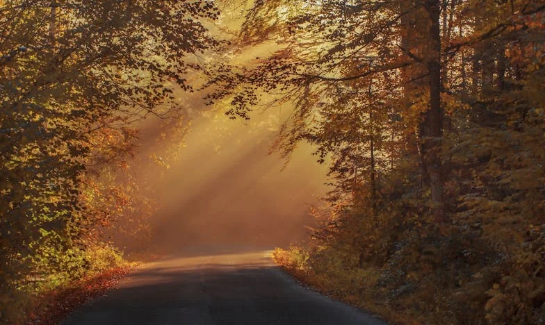 Financiële Strijd Dreef Ons Tot Het Opvangen van Familie — Maar Mijn Hart Was Er Niet Bij