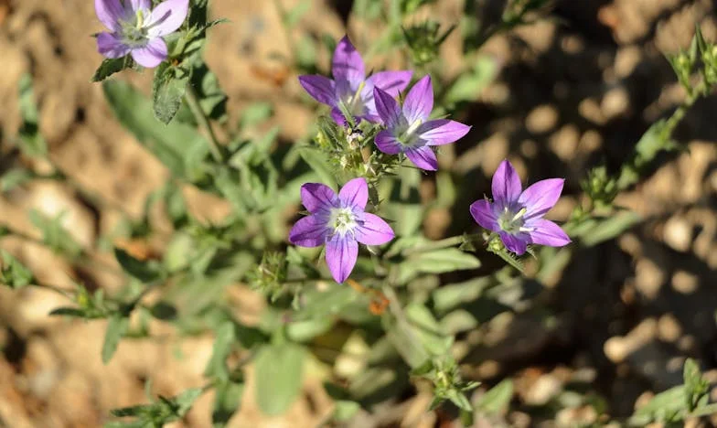 Geen Wieg, Geen Hoop: De Dag Dat Mijn Leven Instortte